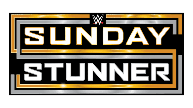 Cobertura: WWE Sunday Stunner In Binghamton – Sem regras!