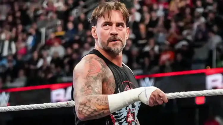 CM Punk Hints Rivalry with Roman Reigns Not Over
