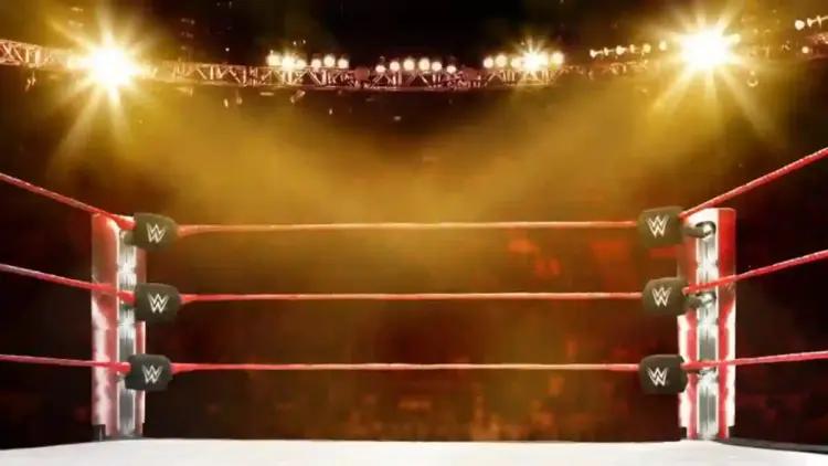 WWE Star Lied to Wife About Retirement: “Even She Didn’t Know”
