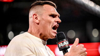WWE Announces Record-Breaking Attendance