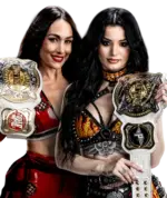 Brie Bella & Paige