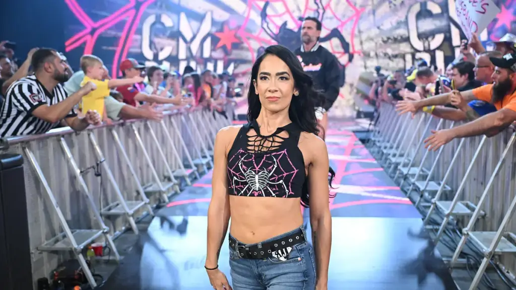 AJ Lee Reveals Fear She Had Before WWE Return