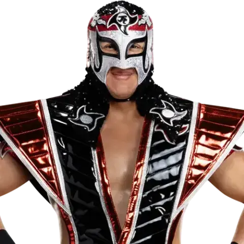 Octagon Jr