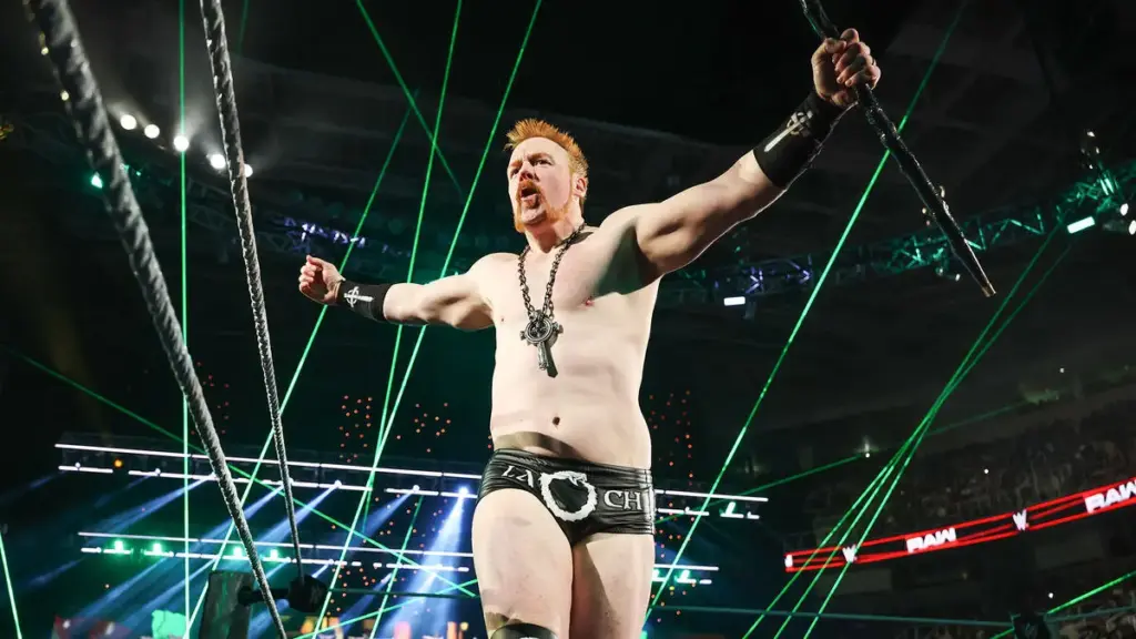 Triple H Blamed for Sheamus Leaving WWE