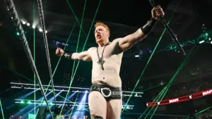 Triple H Blamed for Sheamus Leaving WWE