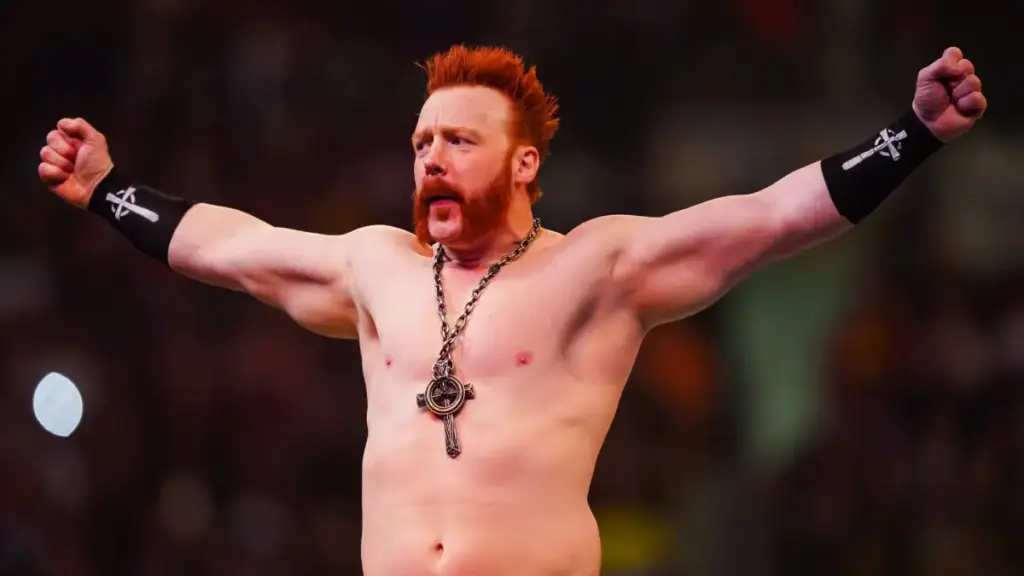 Former WWE Stars Urge AEW to Sign Sheamus ‘Immediately’
