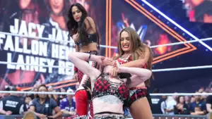 Brie Bella Pulled From WWE SummerSlam Takeover After Injury