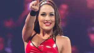 Brie Bella May Have Suffered Injury at WWE SummerSlam