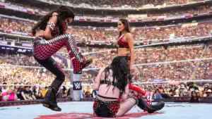 Paige Fires Back at The Bella Twins on X Following Their Turn at WWE SummerSlam