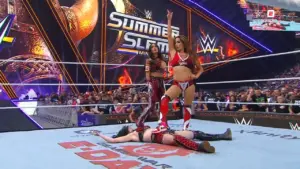 The Bella Twins Betray Paige after WWE SummerSlam Loss