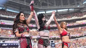 Nikki Bella Gives Concerning Update on Brie Bella Following SummerSlam Injury