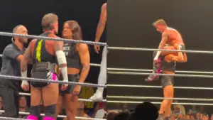 Myka Lockwood Powerbombs CM Punk at WWE NXT Live Event