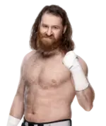 Sami Zayn