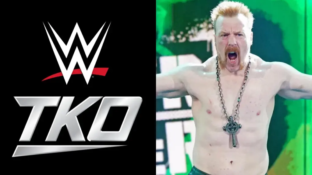 Dave Meltzer Says TKO Won’t Have ‘Any Loyalty’ to WWE Talent
