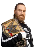 Sami Zayn